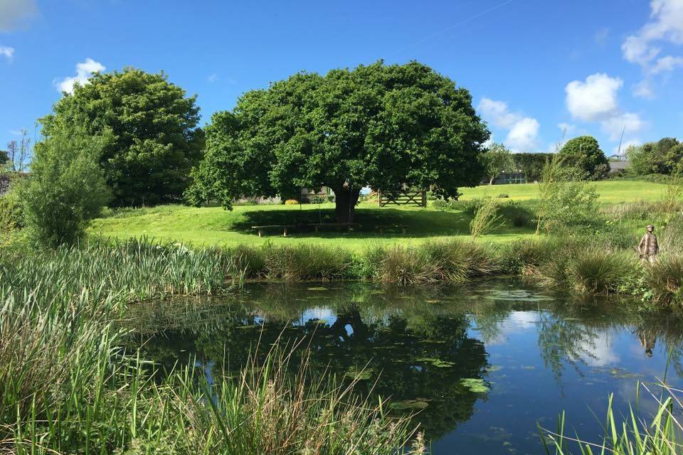 Ash Barton Lakes