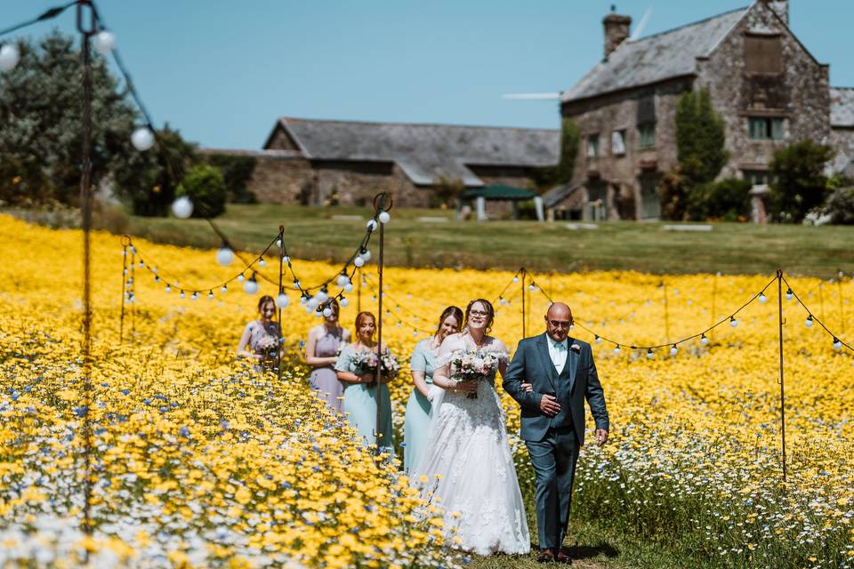 The bridal party