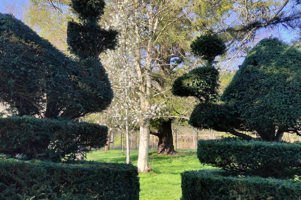 Beddington Park Photo Moment