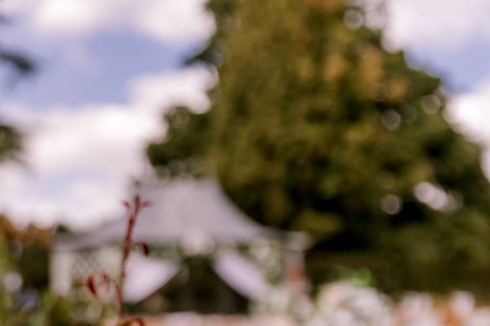 The gardens at The Coach House