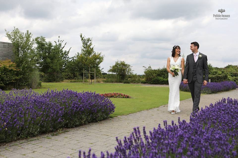 Lavender pathway