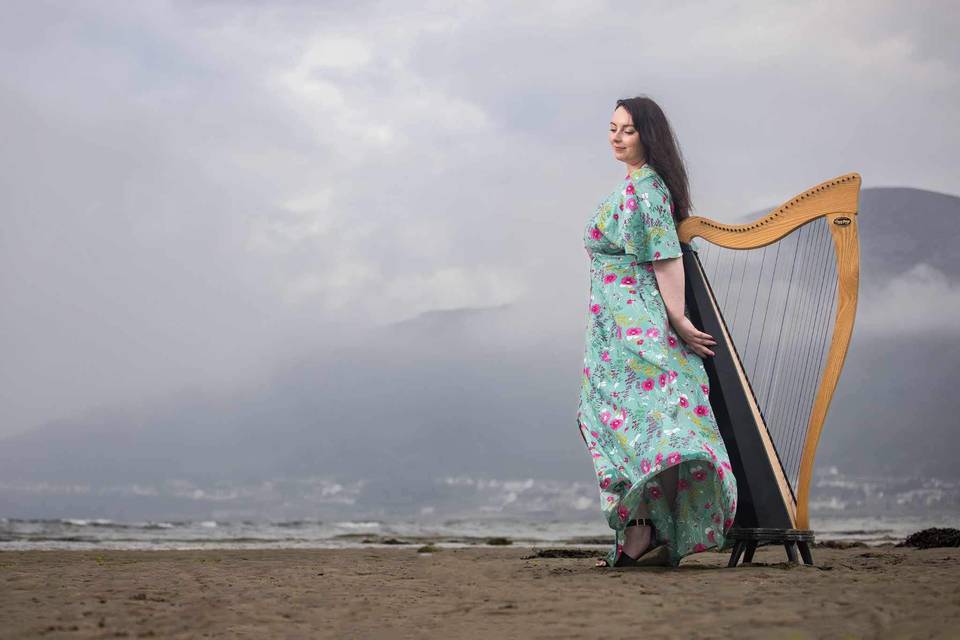 Sarah McVeigh Harp & Voice