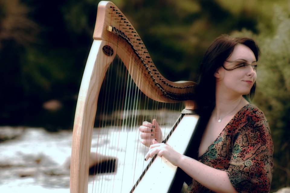 Professional harpist and singer