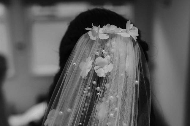 Ania Ames Photography