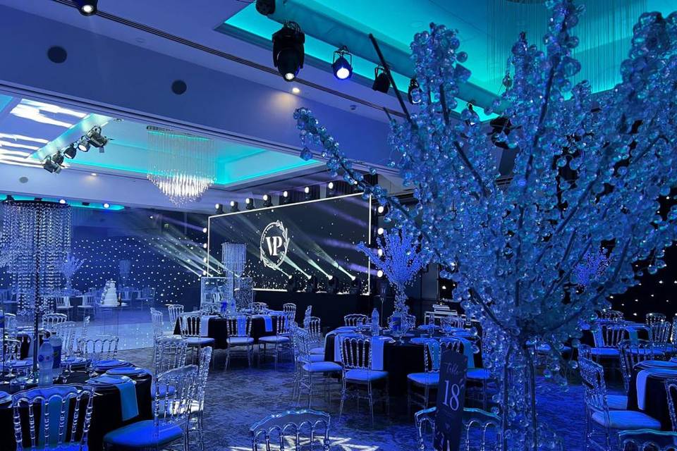 Cedar - Blue Lighting