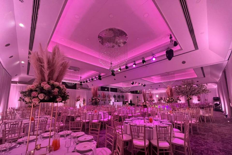 Cedar - Pink Lighting