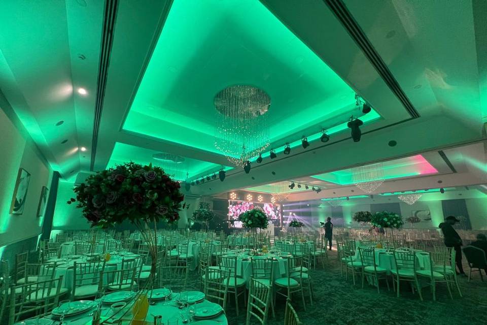 Cedar - Green Lighting