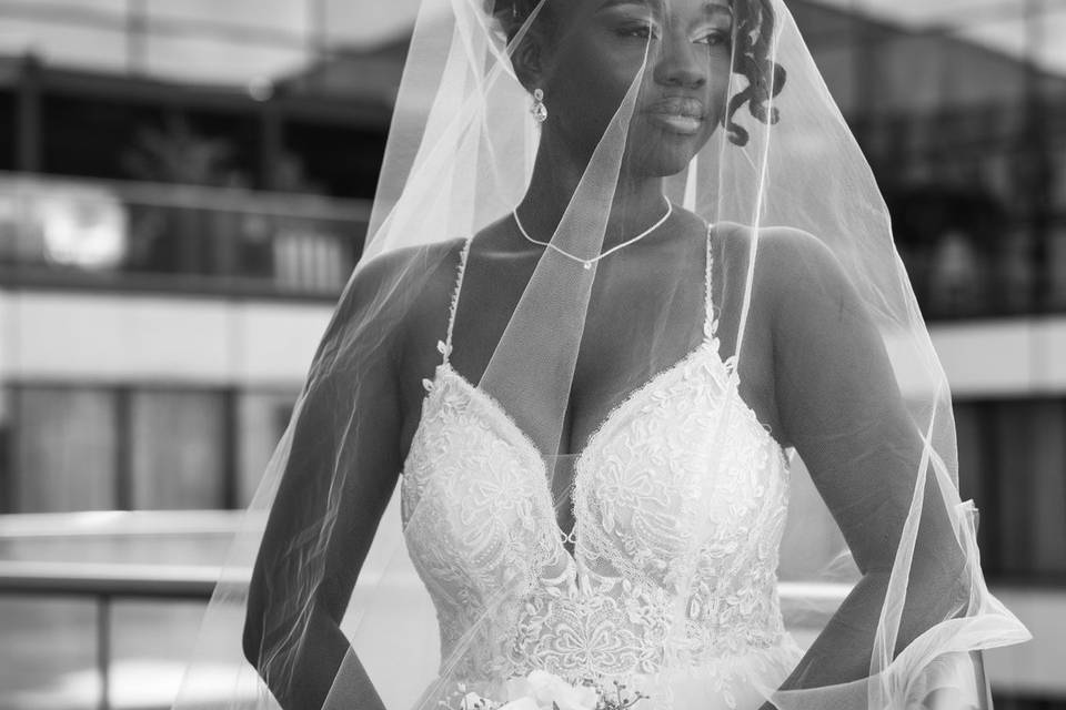 Bridal Portraits