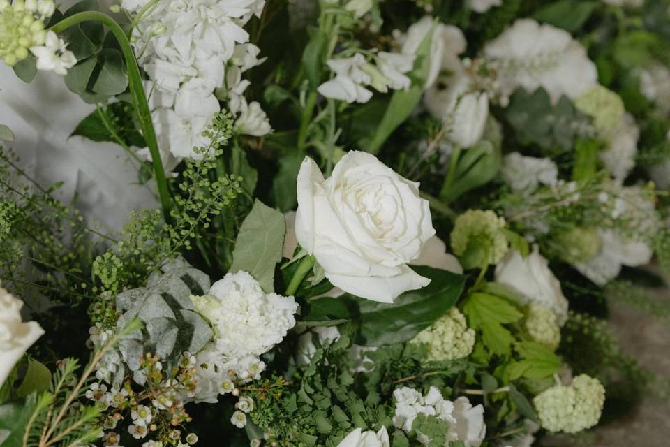Lu Lu Blooms