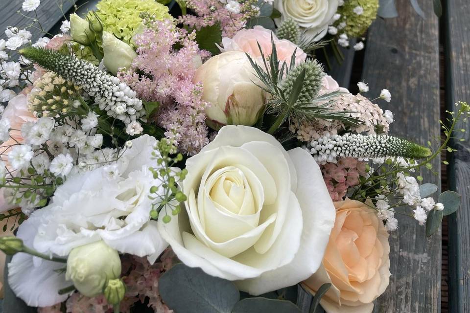 Lu Lu Blooms
