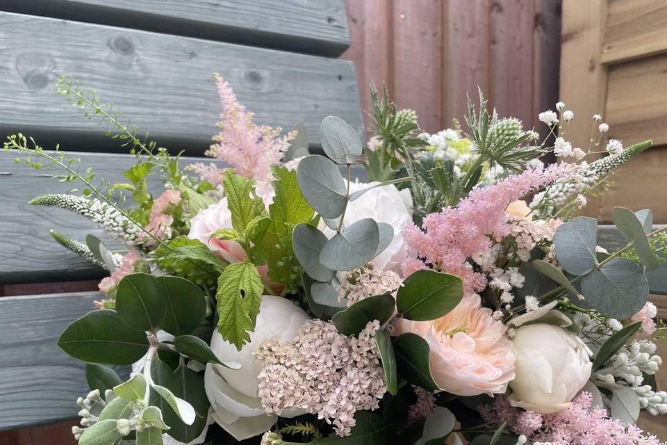 Lu Lu Blooms