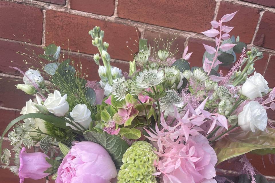 Lu Lu Blooms