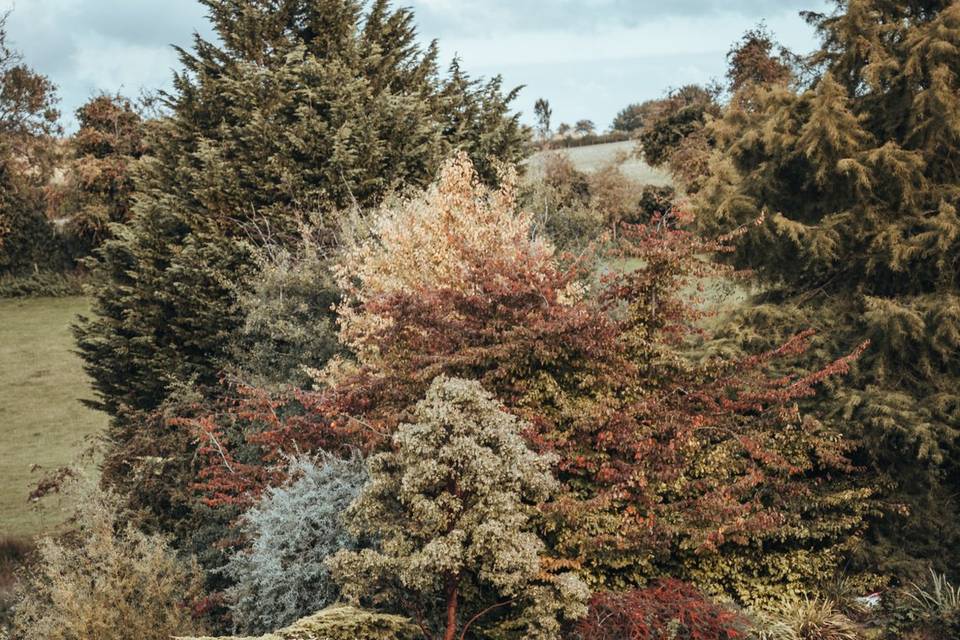 Cotswolds