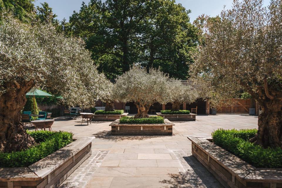 Sunny courtyard