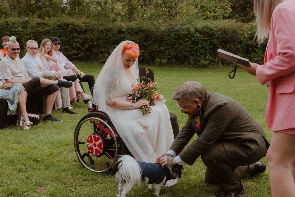 Cutest ring bearer