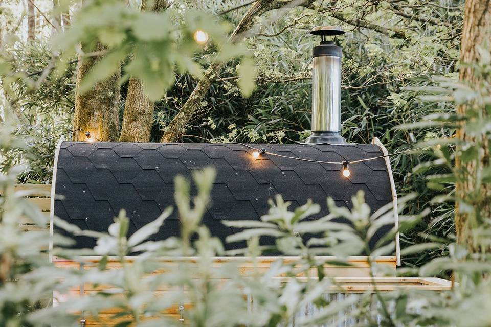 Sauna in the trees