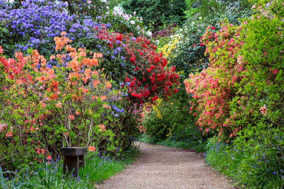 Spring at Leonardslee