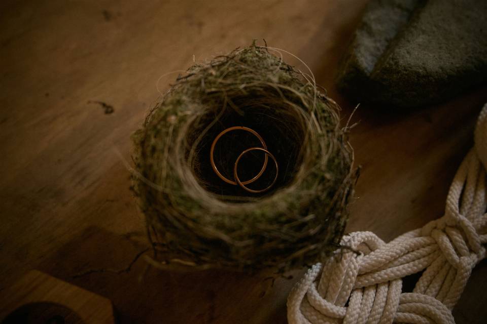 Birds nest ring holder