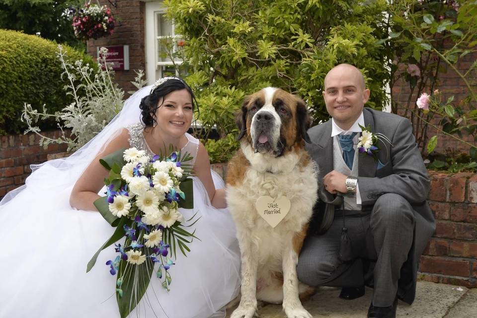 Somerset Wedding Day Dog Chaperone Service