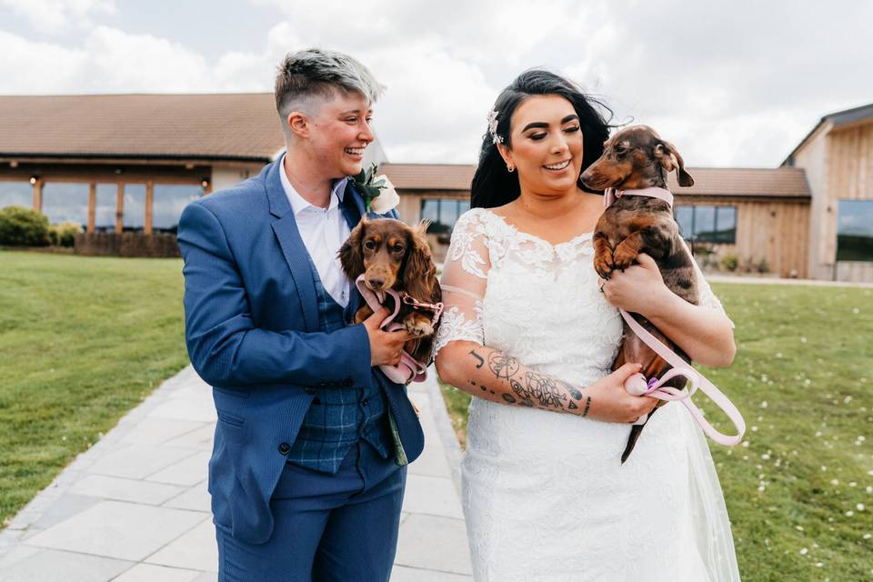 Somerset Wedding Day Dog Chaperone Service