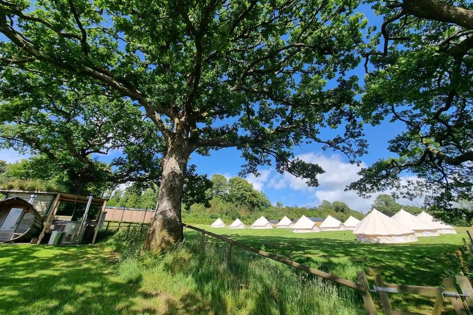 Extra bell tents