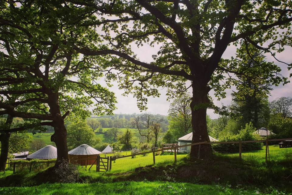 Glamping accommodation