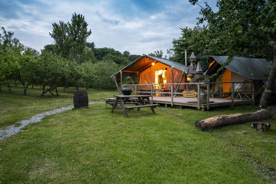 Glamping Safari