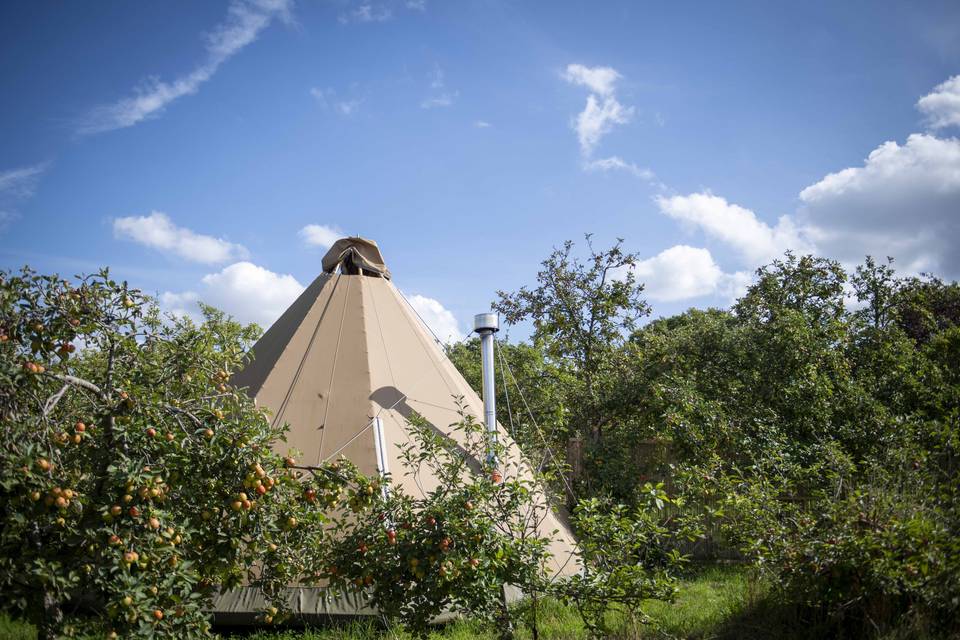 Glamping Tipi