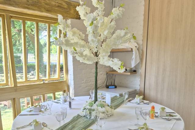 Blossom Tree's