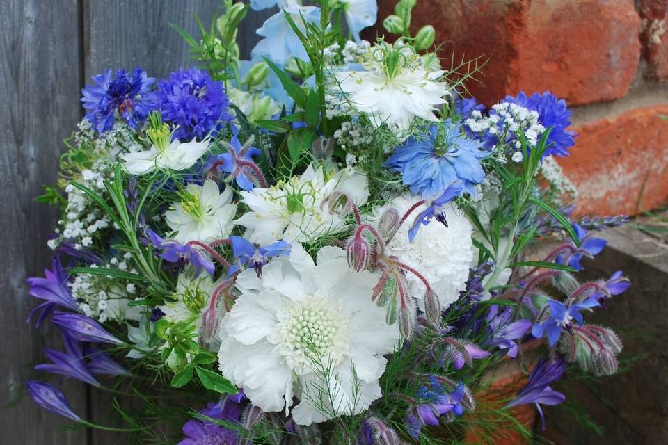 Field Gate Flowers