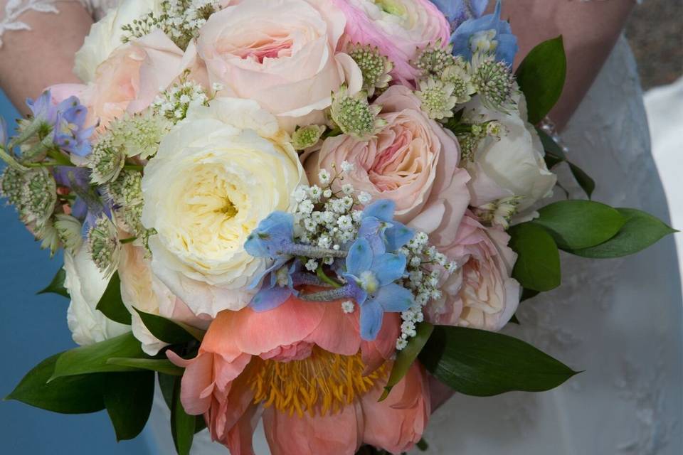 Field Gate Flowers