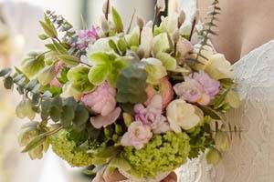 Field Gate Flowers