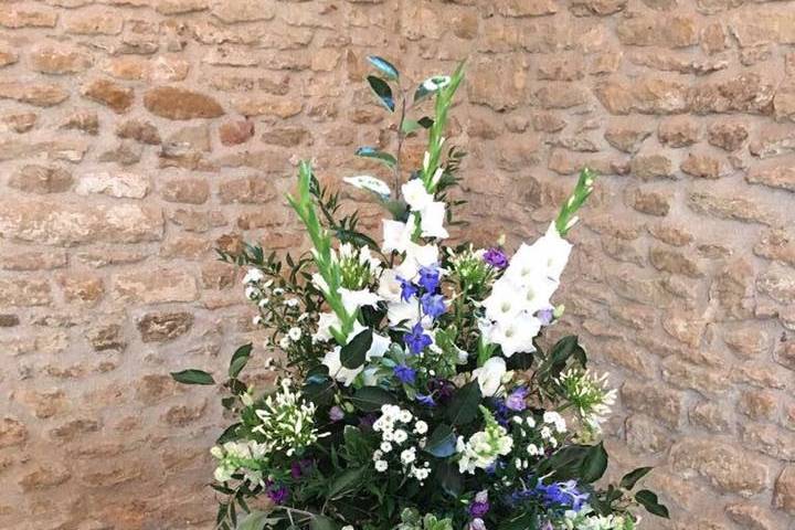 Field Gate Flowers