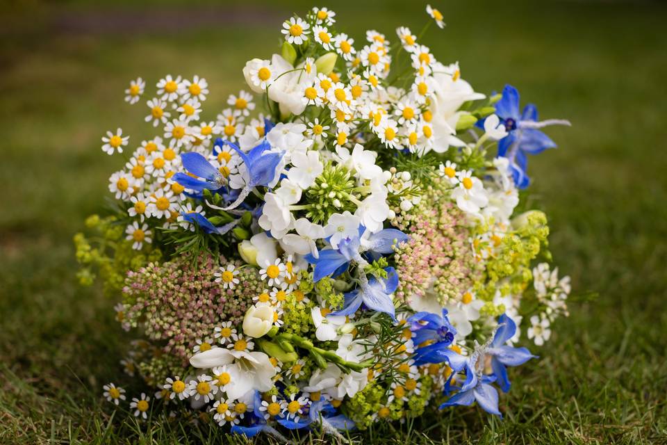 Field Gate Flowers