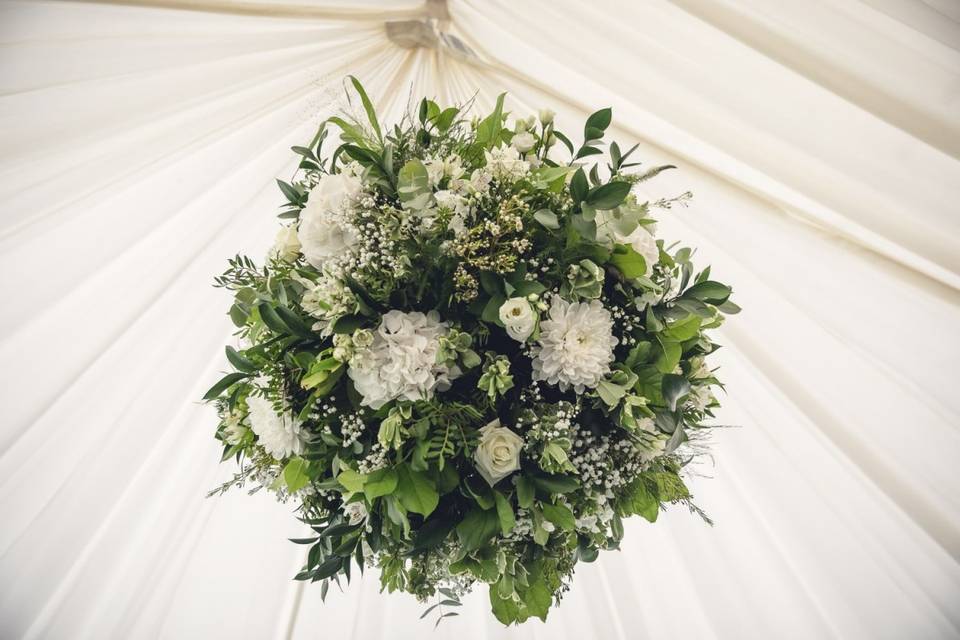 Field Gate Flowers