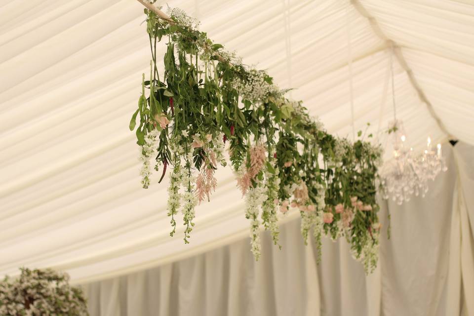 Field Gate Flowers