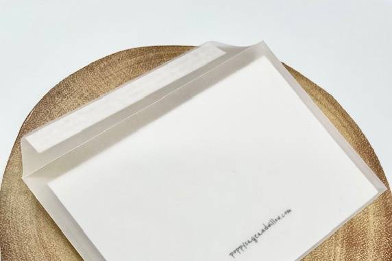 Assorted Sizes Vellum Envelope