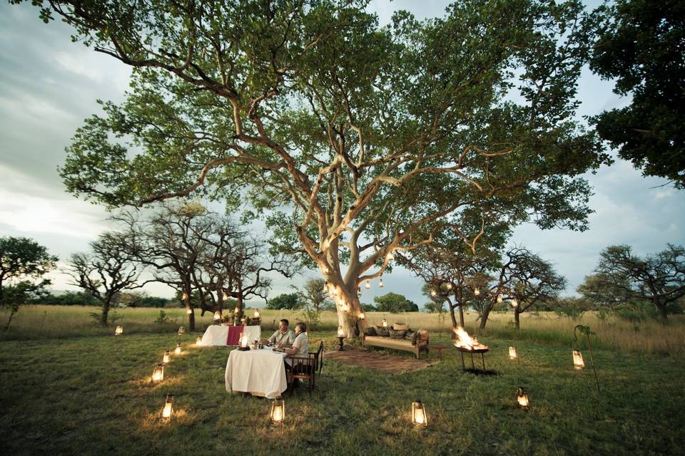 Dinner under the stars