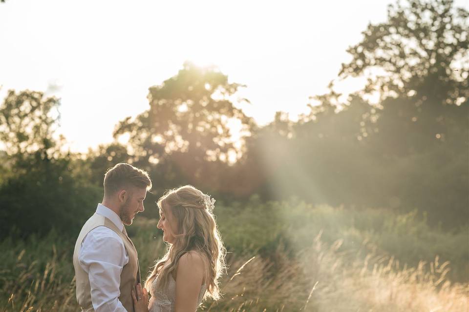 Golden Evenings in the Meadow