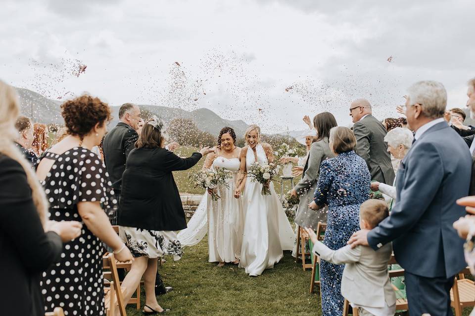 Confetti on back lawn