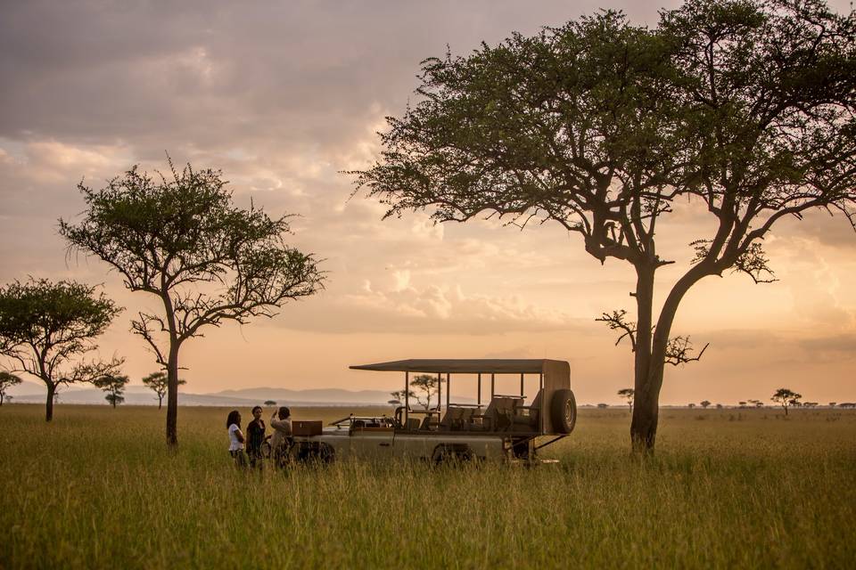 Safari Game Drives