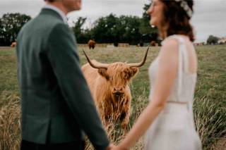 LUX Wedding Photography