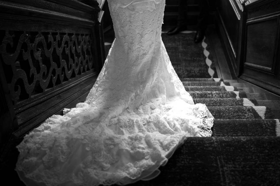 The First Look
