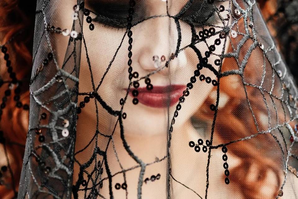 Spiderweb veil