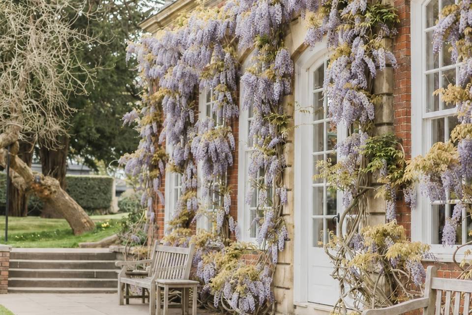The Orangery