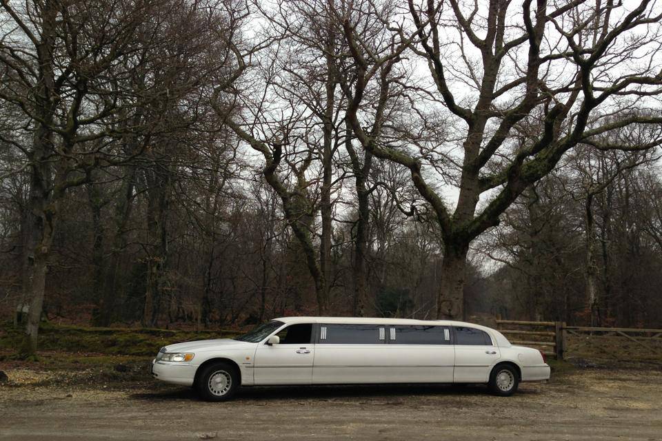 Limousine