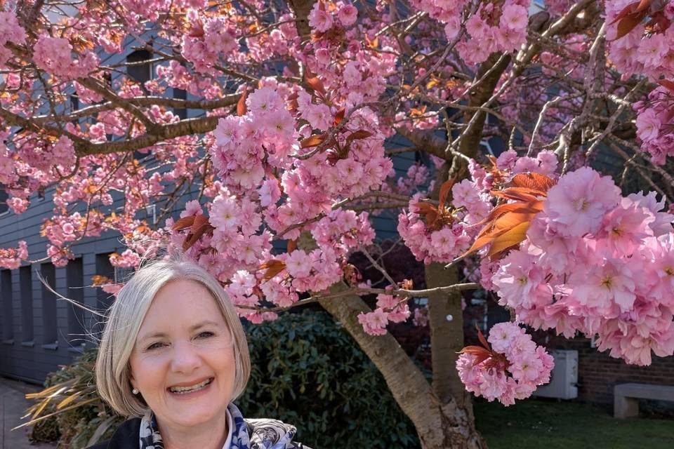 Beautiful spring blossoms.