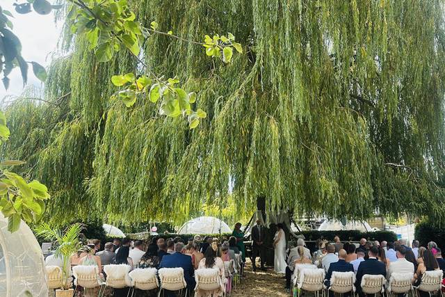Willow Ceremony Set up