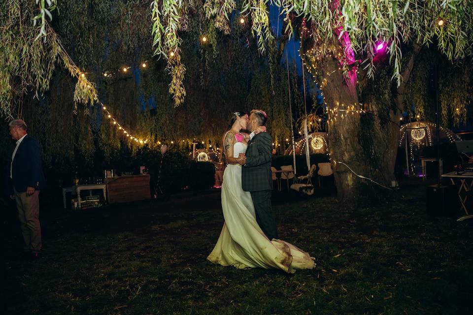 Dancing beneath the Willow