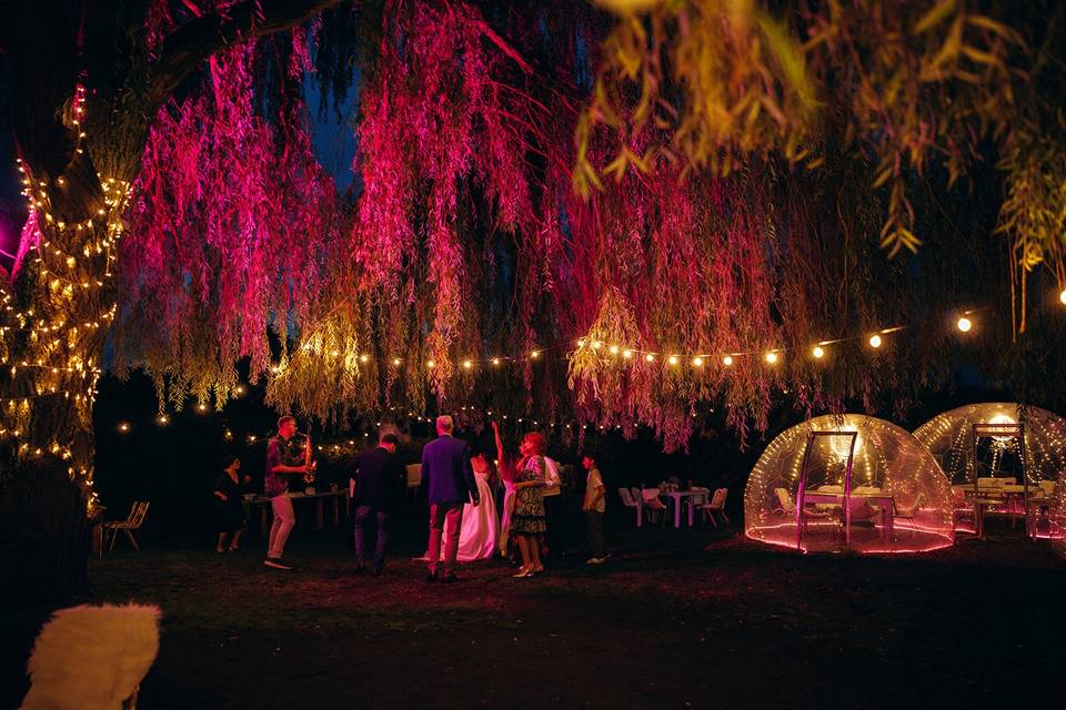 Magical Garden